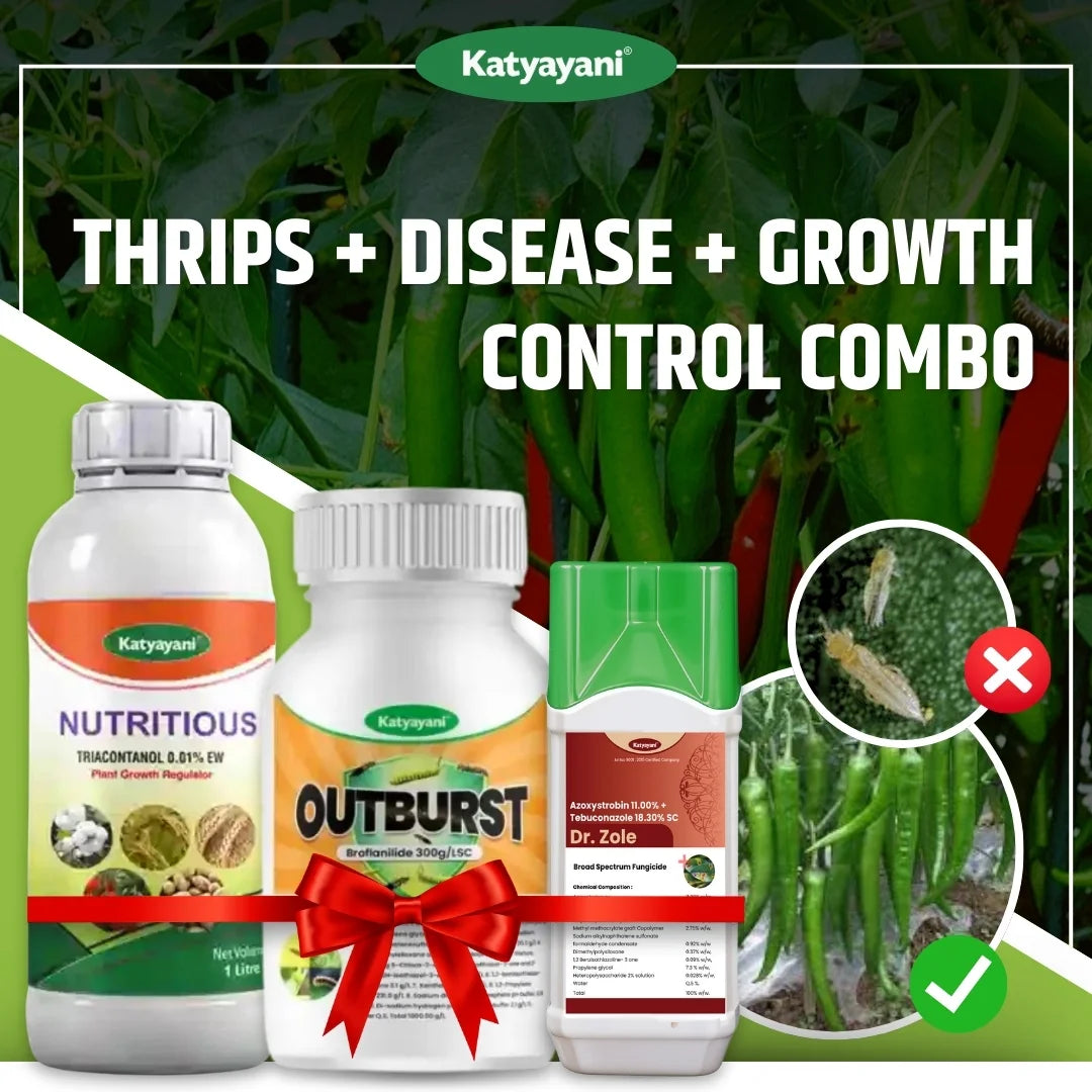 Katyayani Thrips + Disease + Growth Control Combo for Chilli