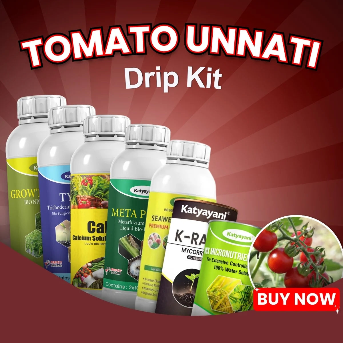 Katyayani Tomato Unnati Drip Kit - Fruit Size & Color