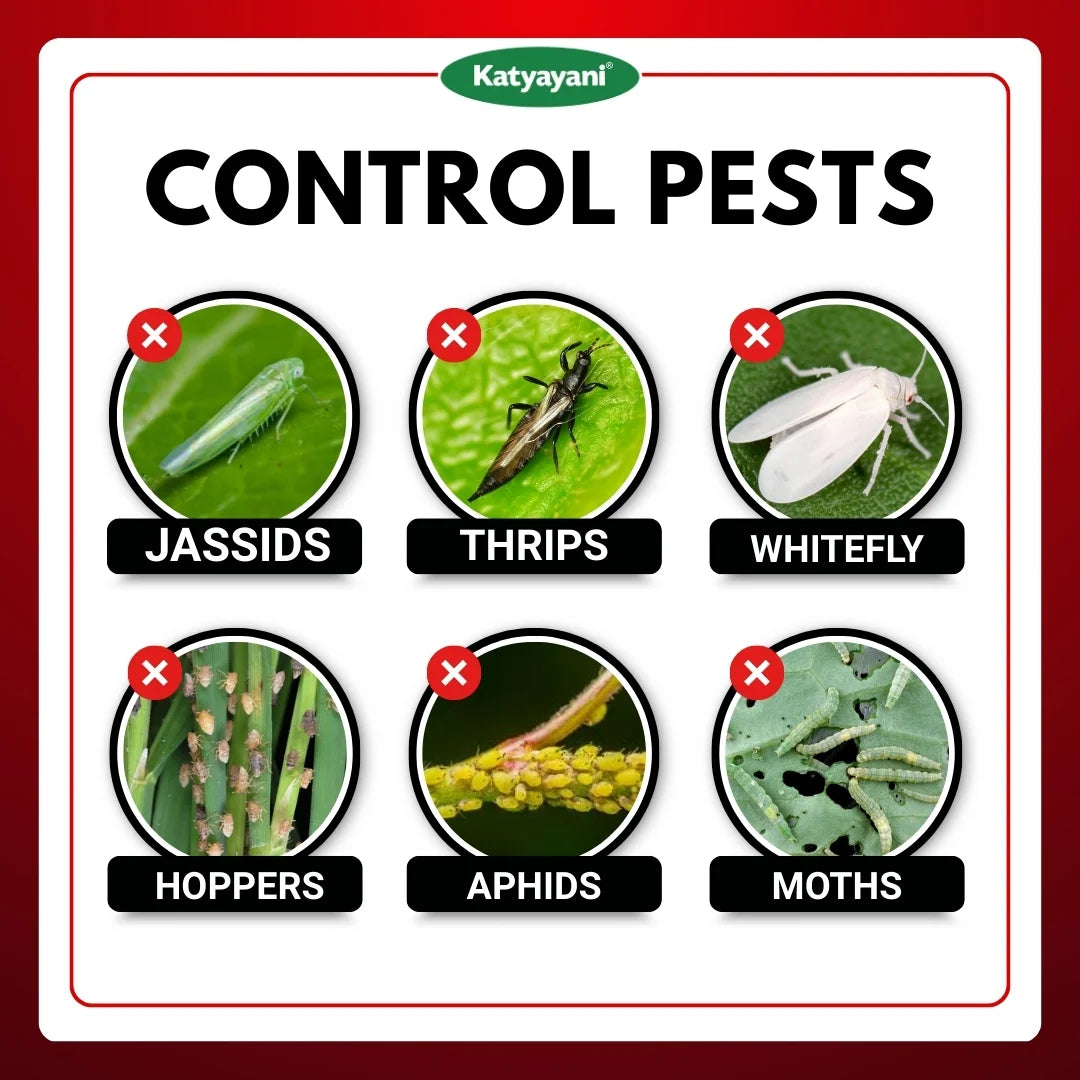 Katyayani Triple Attack Liquid Bio-Insecticide | Verticillium lecanii + Beauveria bassiana + Metarhizium anisopliae