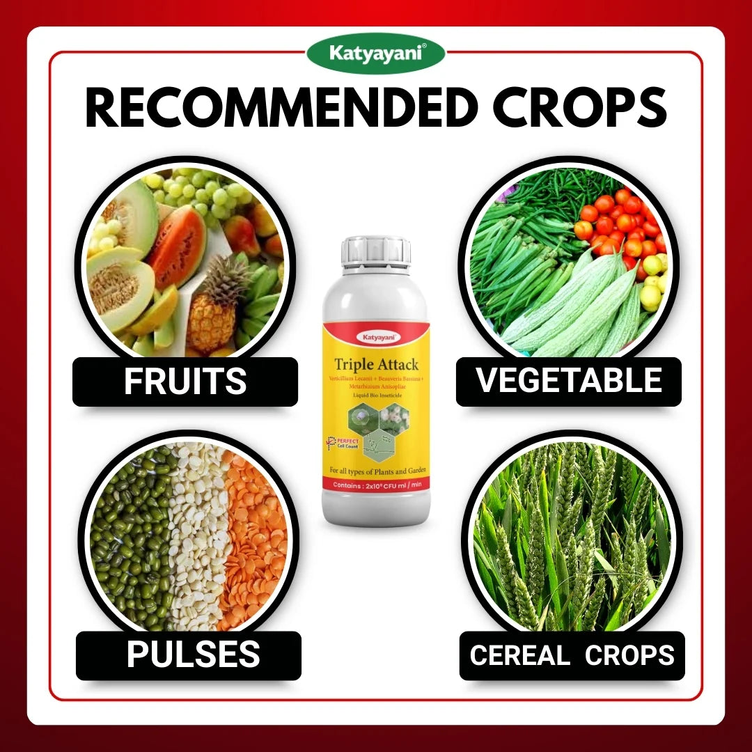 Katyayani Triple Attack Liquid Bio-Insecticide | Verticillium lecanii + Beauveria bassiana + Metarhizium anisopliae