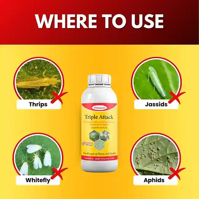 Katyayani Triple Attack | Bio Pesticide Liquid (1+1 Free)