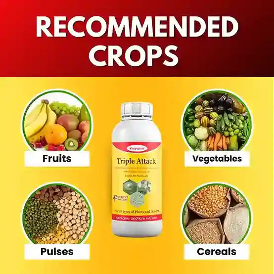 Katyayani Triple Attack | Bio Pesticide Liquid (1+1 Free)