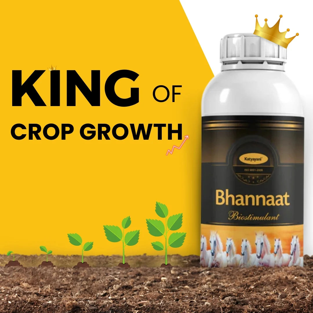 KATYAYANI BHANNAAT | PLANT GROWTH REGULATOR