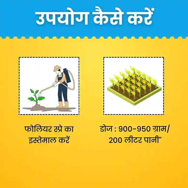 bordeaux mixture fungicide dose in hindi