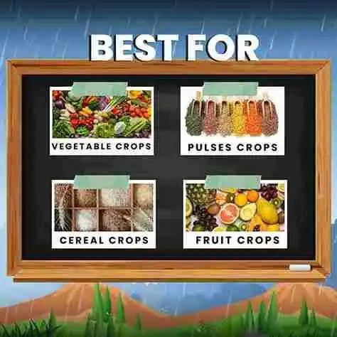 Bordeaux mixture uses