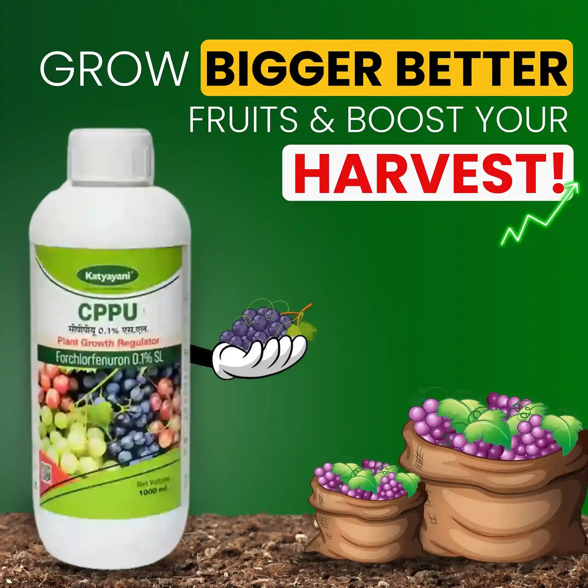 Katyayani CPPU | Forchlorfenuron 0.1 % L | Plant Growth Regulator