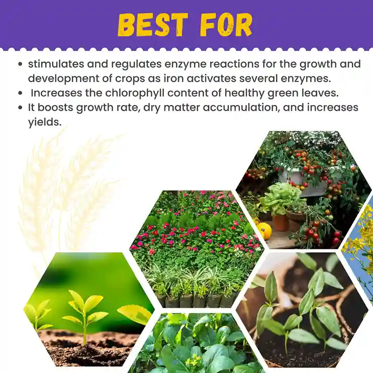 Katyayani Iron EDTA || Fe 12% EDTA for growth & development & more