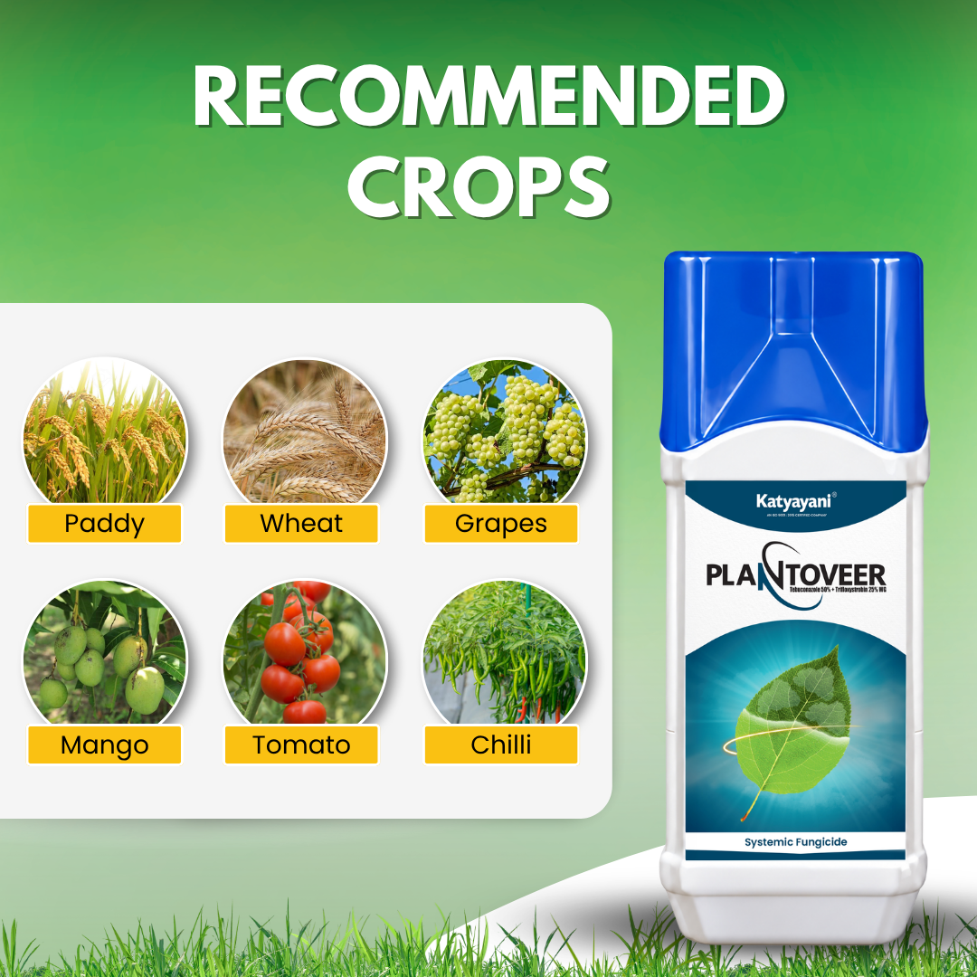 Katyayani PlantoVeer – Tebuconazole 50% + Trifloxystrobin 25% WG Dual-Action Systemic Fungicide
