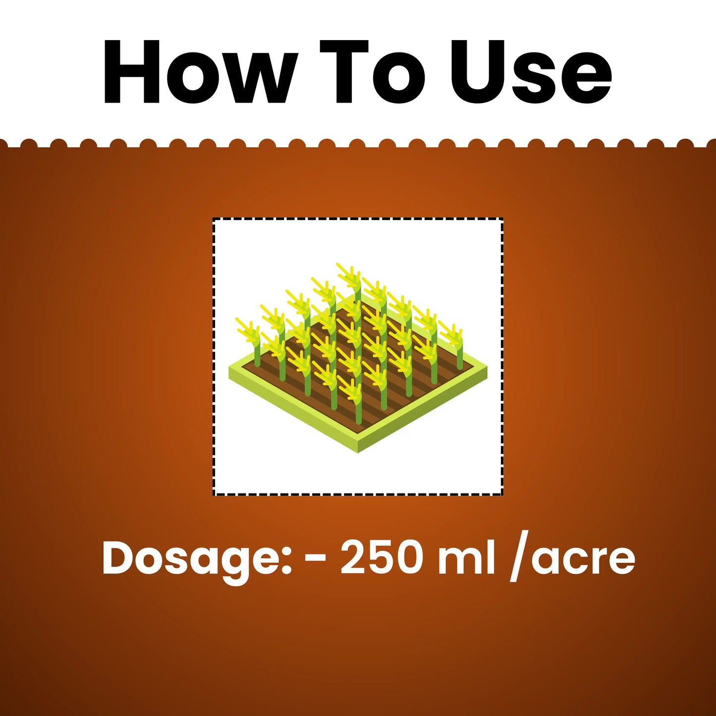 Katyayani Nutritious Triacontanol 0.1% EW Plant growth regulator Dosage