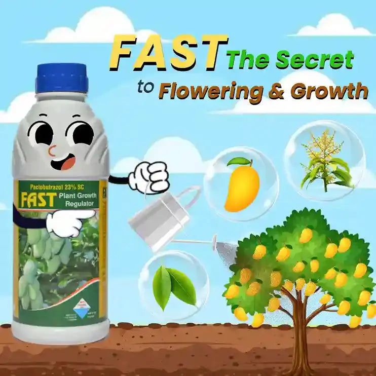 Plant Growth Regulator For Flowering and Fruit Setting In Mango