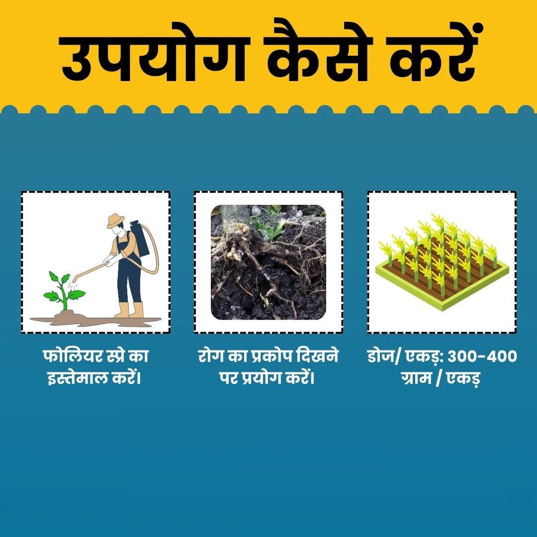 carbendazim 12 + mancozeb 63 wp uses