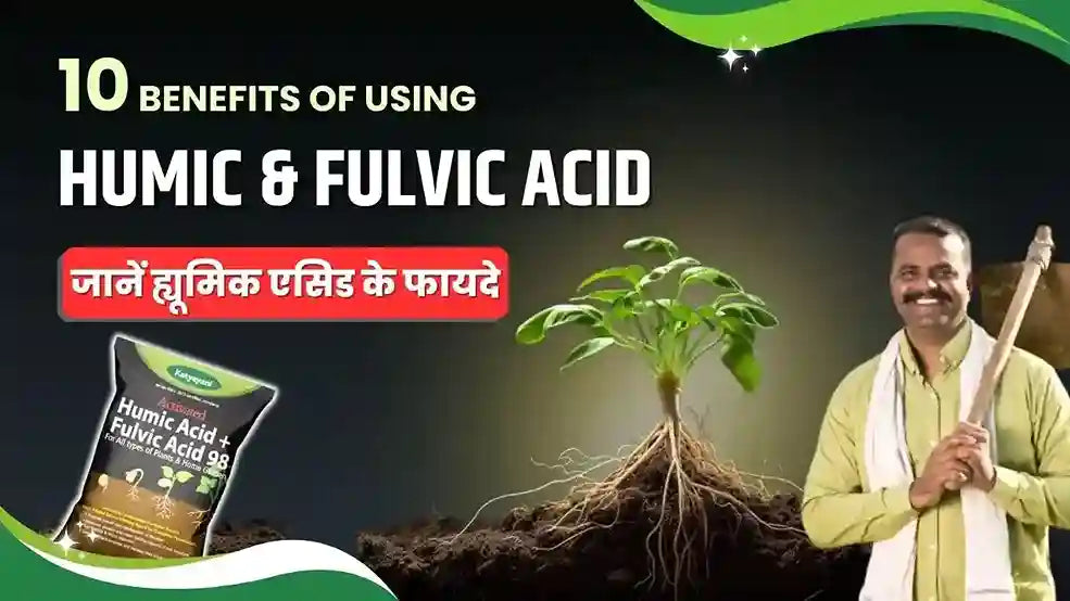 Uses and Benefits of Activated Humic Acids & Fulvic Acid 98% Fertilizer