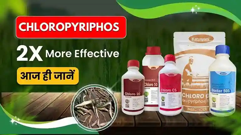 Chloropyriphos Insecticide: Uses and Benefits