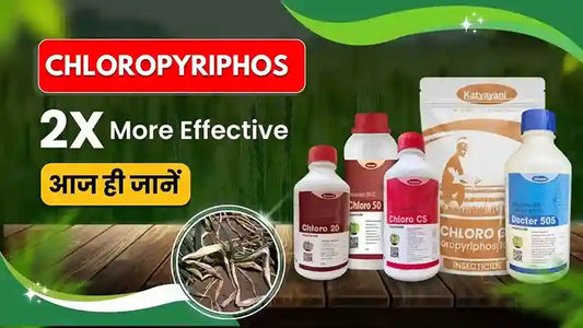 Chloropyriphos Insecticide: Uses and Benefits