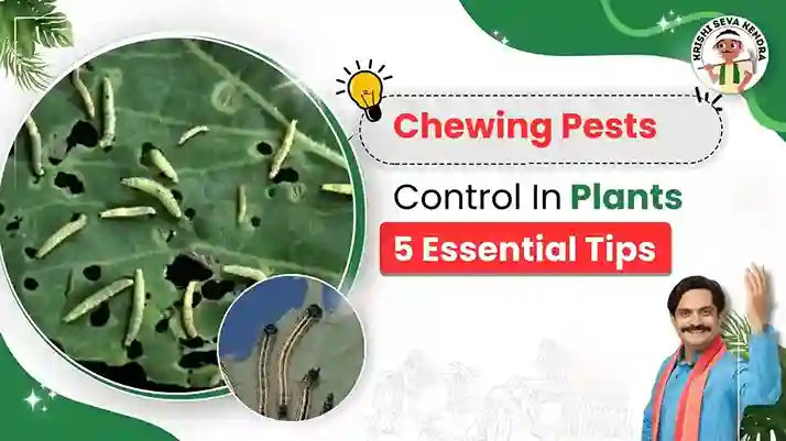 Top 5 chewing pest insecticide at Krishi Seva Kendra | Online