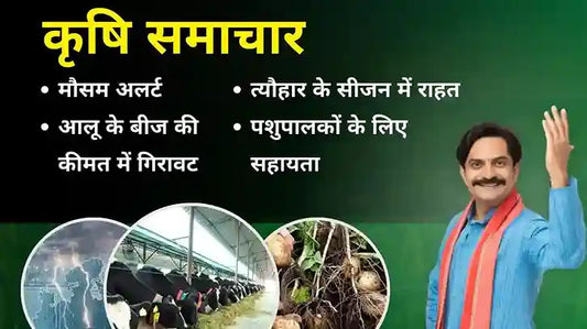 कृषि समाचार : सस्ते आलू बीज, खाद्य रियायतें और मौसम की चेतावनी