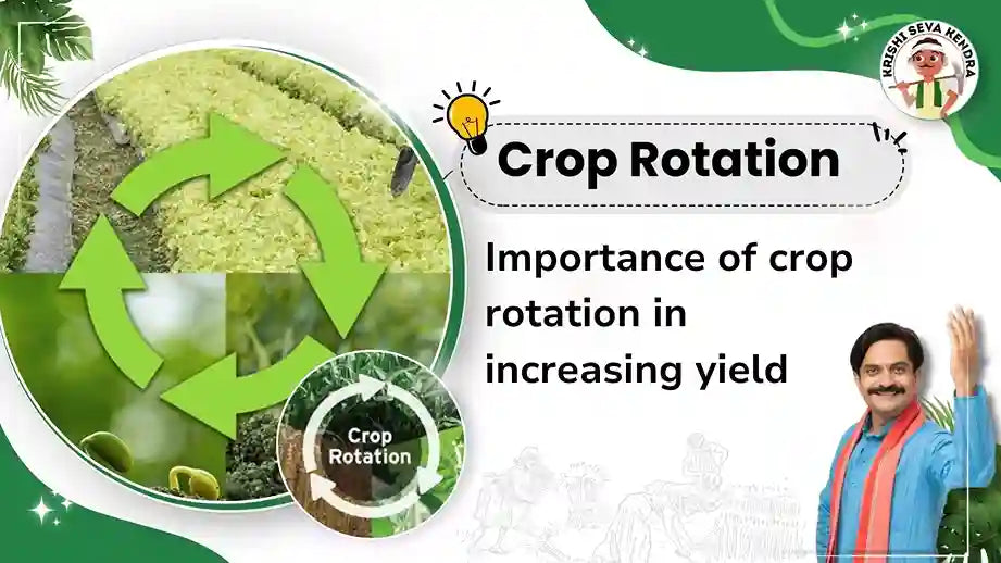 Crop Rotation in Agriculture: Enhancing Soil Health & Yields