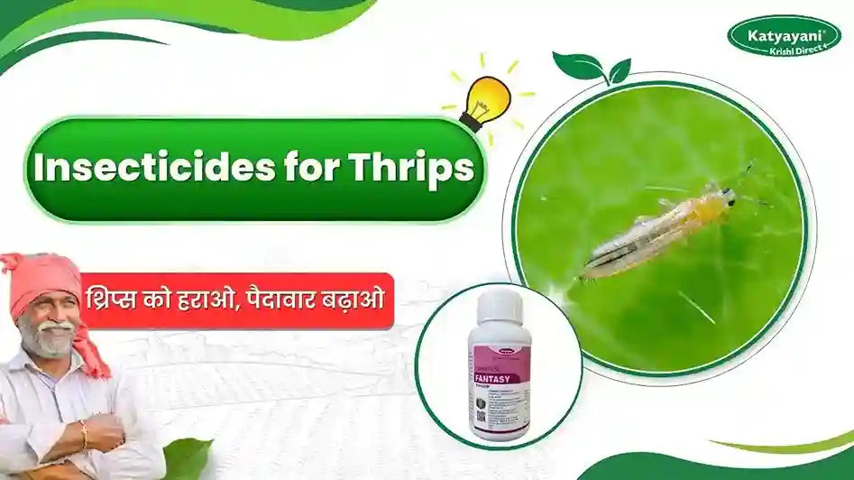 Best Insecticides for Thrips Control