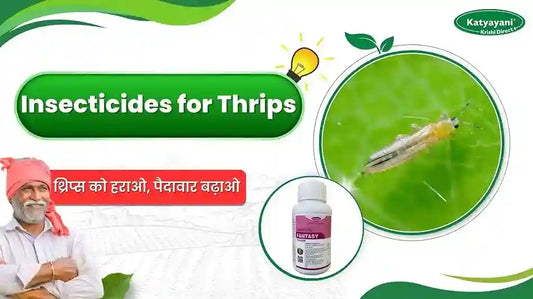 Best Insecticides for Thrips Control
