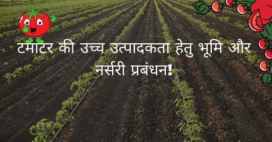 टम-टर-क-उच-च-उत-प-दकत-ह-त-भ-म-और-नर-सर-प-रब-धन 