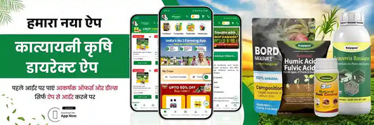 Katyayani Krishi Direct: India’s Leading D2C Farm Input Delivery App