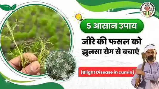 ज-र-म-झ-लस-र-ग-क-प-रक-प-समय-रहत-पहच-न-और-र-कथ-म-कर 
