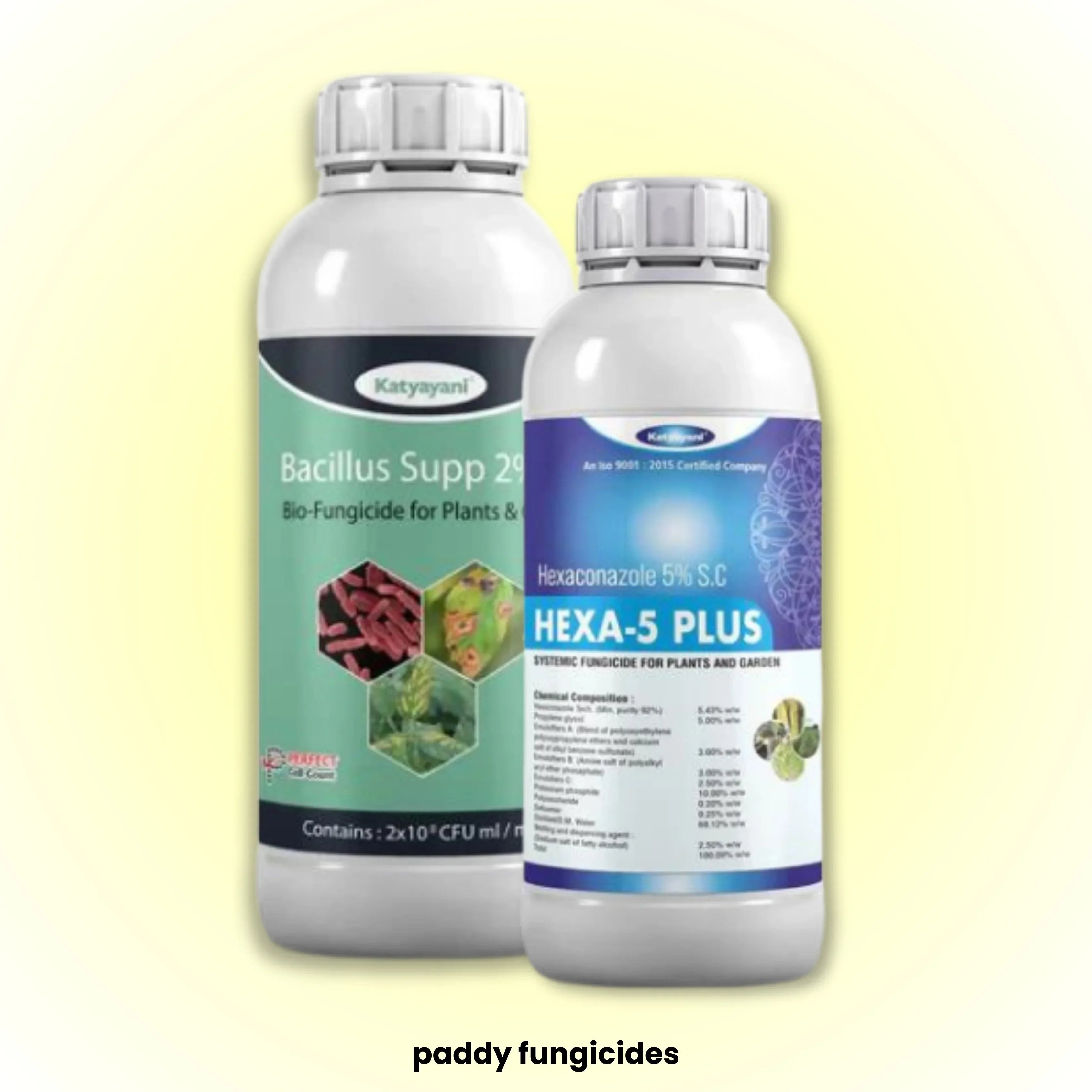 Top Paddy Fungicides for Blast & Borer Control – Free Delivery