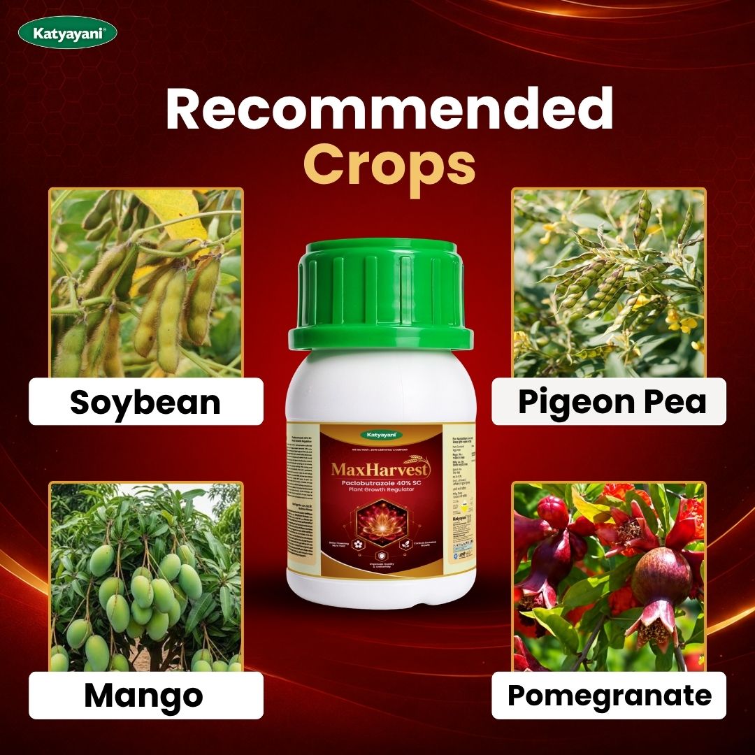 Katyayani MaxHarvest | Paclobutrazol 40% SC | Plant Growth Regulator 