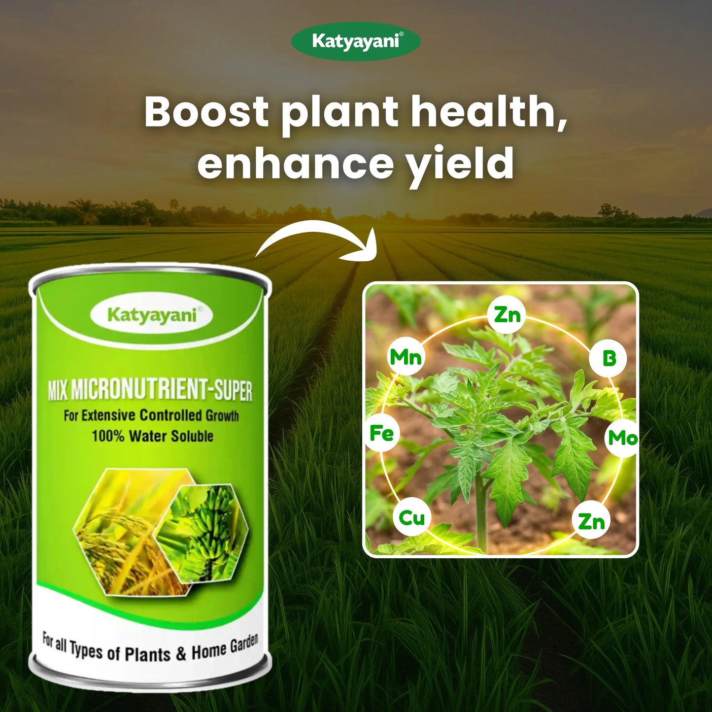 Katyayani Mix Micronutrient Fertilizer | Super for Home Garden, Nursery and Agriculture use 