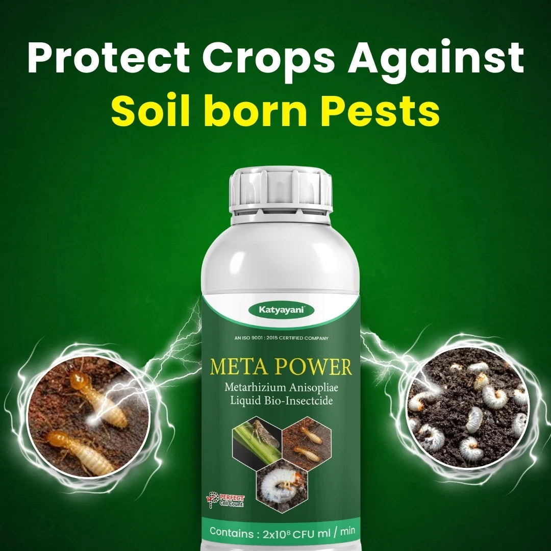 Katyayani Meta Power | Metarhizium Anisopliae | Liquid Bio Insecticide 