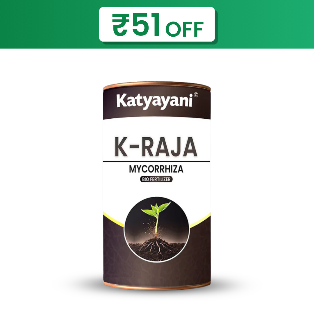 Katyayani K-RAJA | Mycorrhizal Biofertilizer | 100% Water Soluble 