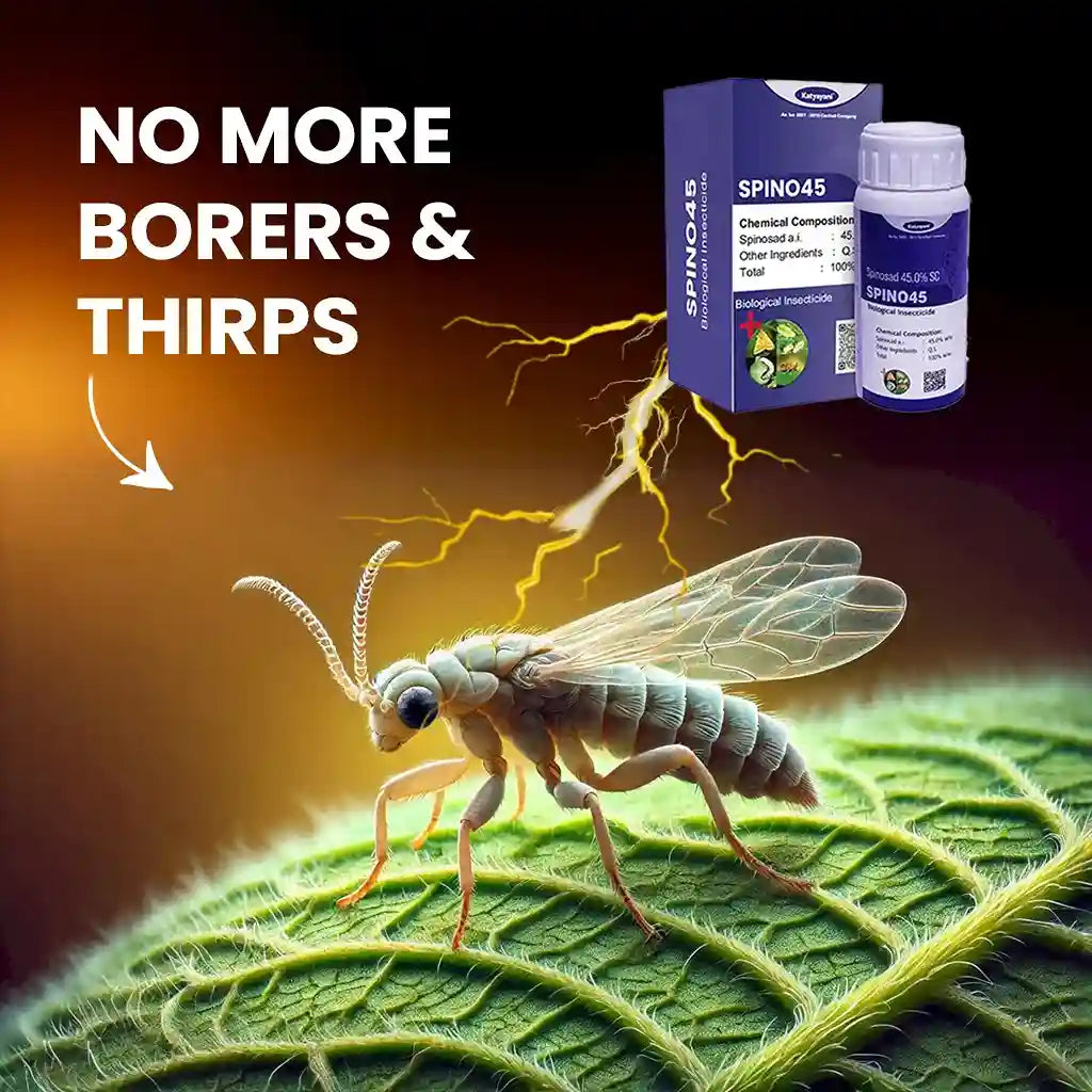 Katyayani Spino 45 | Spinosad 45% SC | Chemical insecticide