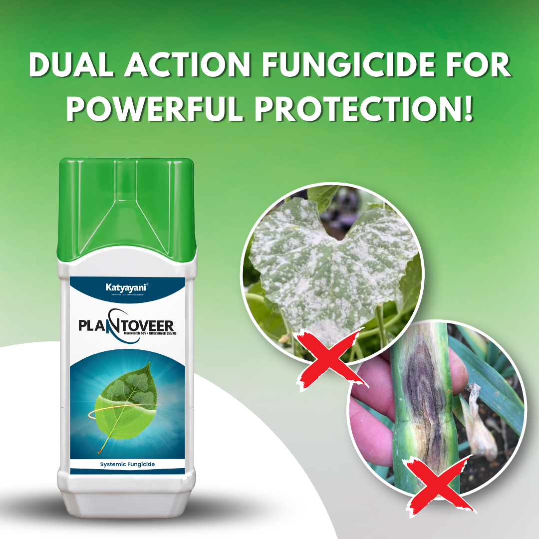 Katyayani PlantoVeer – Tebuconazole 50% + Trifloxystrobin 25% WG Dual-Action Systemic Fungicide 