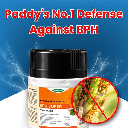 Katyayani BPH Super | Pymetrozine 50% WG | Chemical Insecticide 