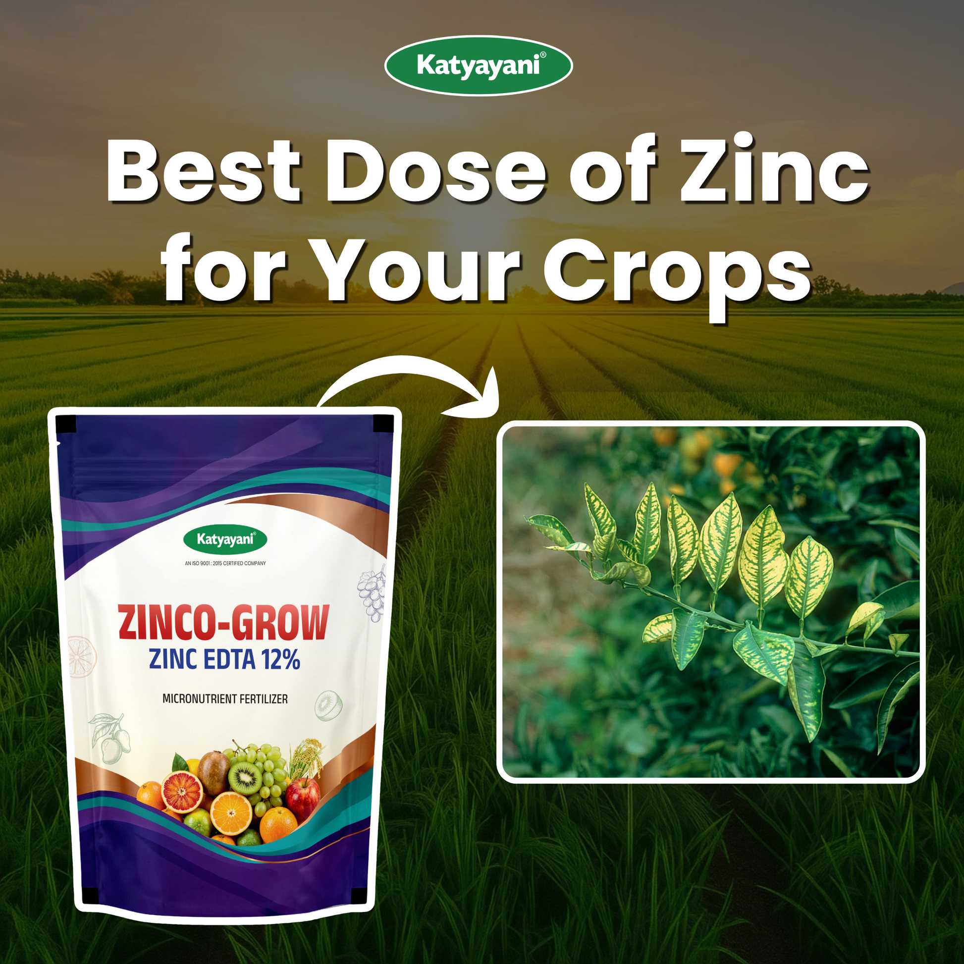 Katyayani Zinco Grow (Zinc EDTA 12%) Fertilizer | Soil Activator and Fertilizer for Crops 