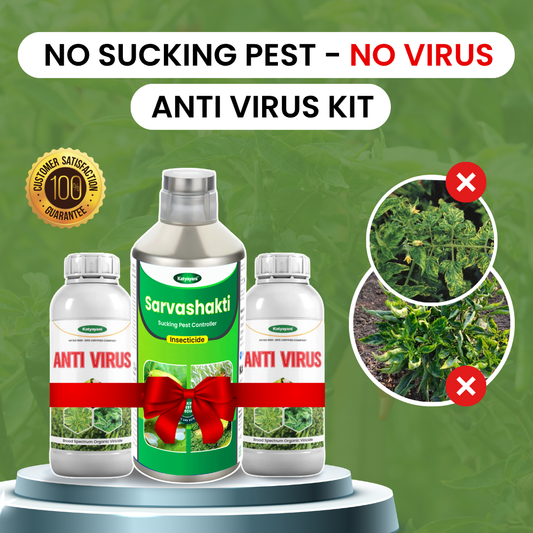 Katyayani Anti Virus Kit (Sarvashakti 250ml + Anti Virus 500ml(250ml x 2) 