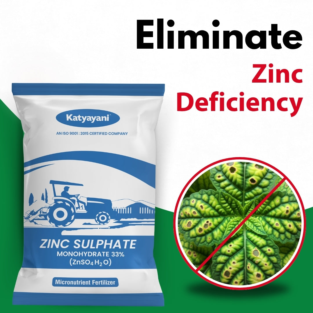 Katyayani Zinc Sulphate 33% Fetilizer | Monohydrate Micro Nutrient | Enhance Crop Yields 