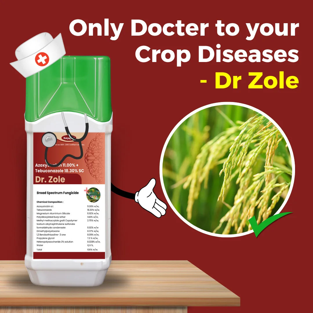 Katyayani Dr. Zole |  Azoxystrobin 11% + Tebuconazole 18.3% SC | Chemical Fungicide for disease control