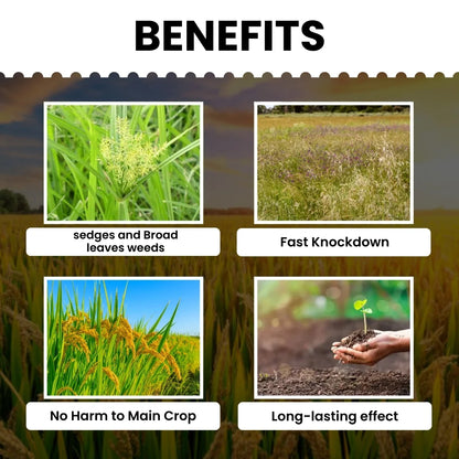 best Bispyribac Sodium SC Herbicide for Rice Cultivation 
