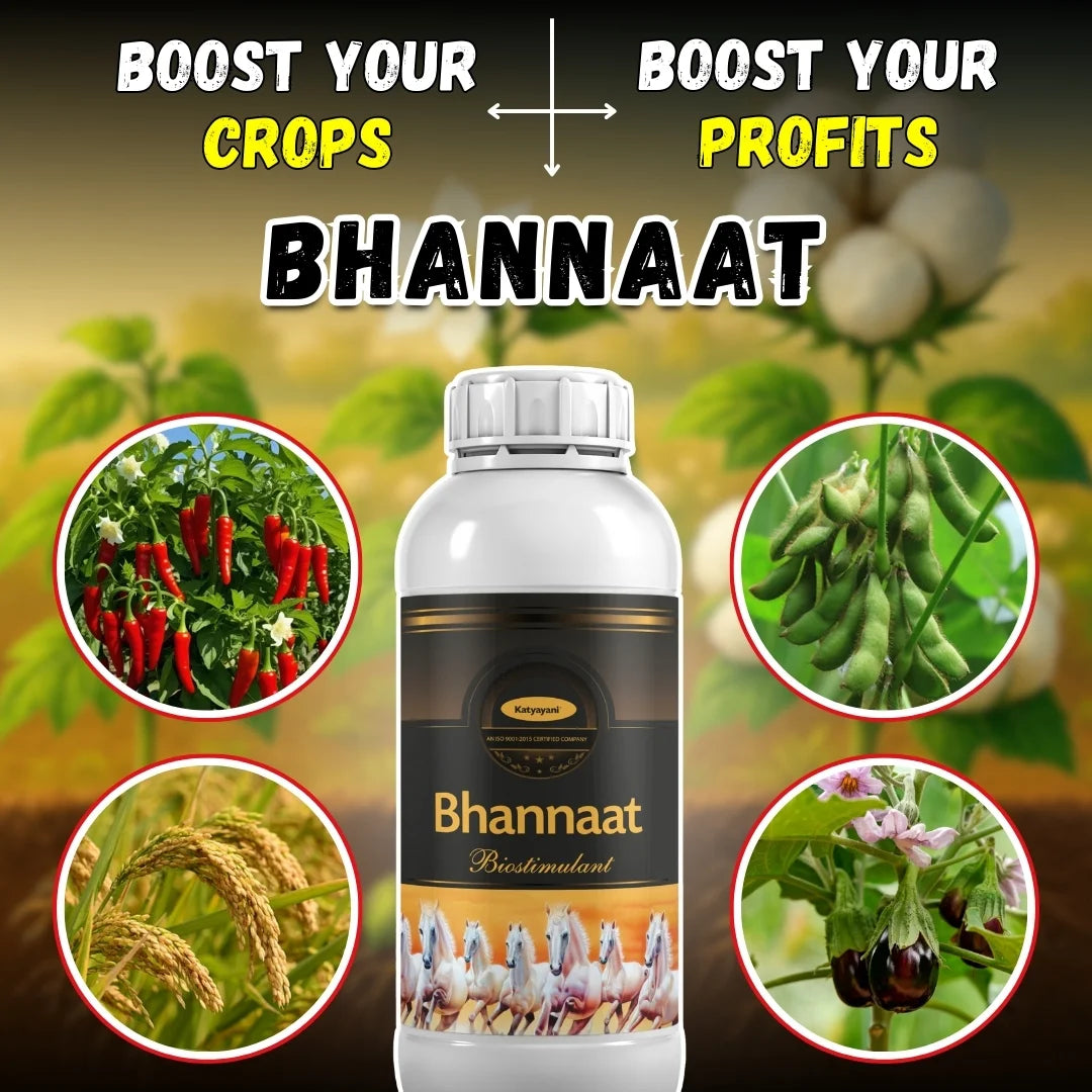 Katyayani Bhannaat | Biostimulant Plant Growth Regulator | Enhance Yield & Stress Resistance 