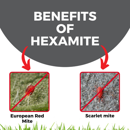 Katyayani Hexamite | Hexythiazox 5.45% EC | Chemical Insecticide 