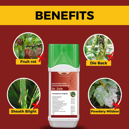 Katyayani Dr. Zole Azoxystrobin 11% + Tebuconazole 18.3% SC Chemical Fungicide used to control fungal disease