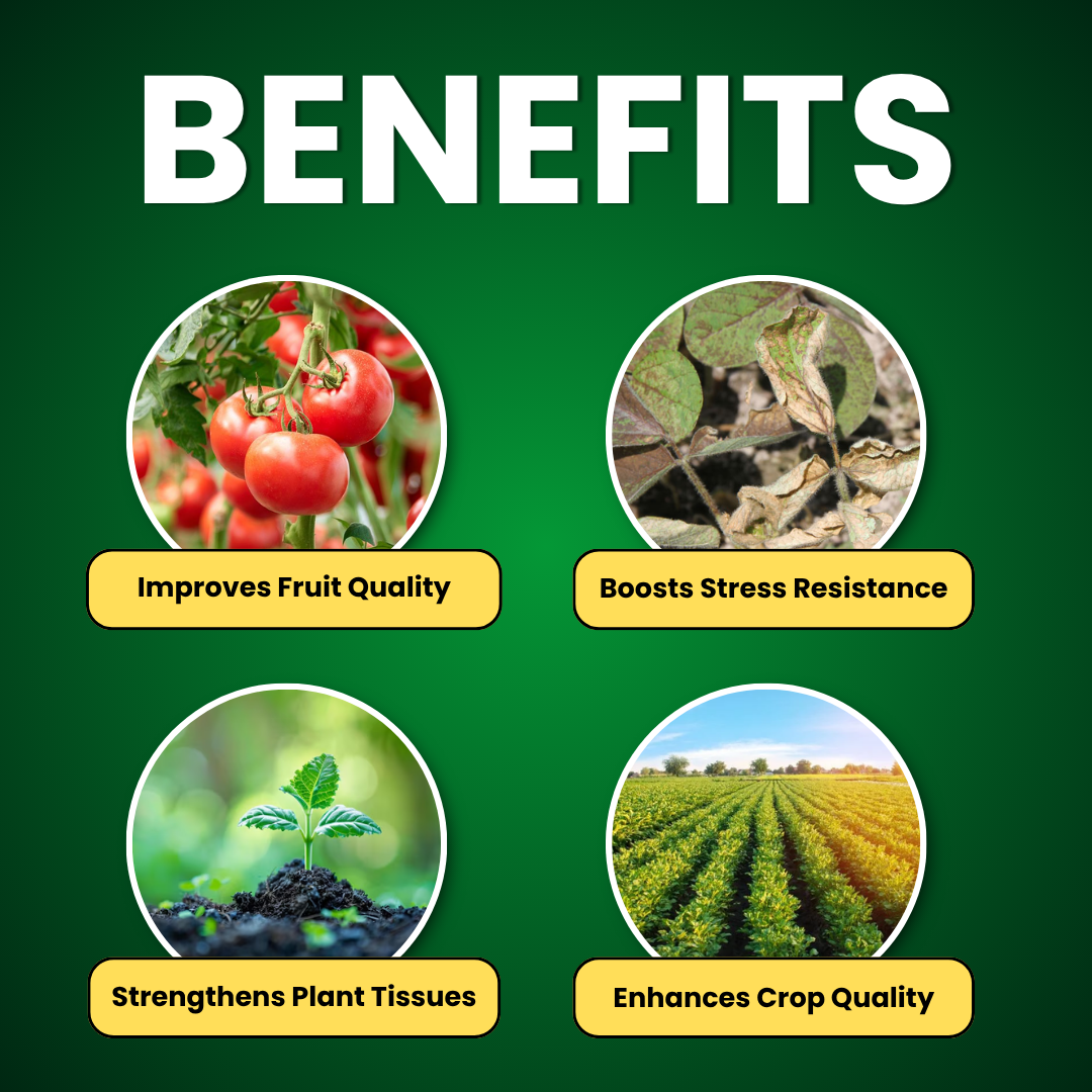 plant fertilizer high in potassium Katyayani Npk 0 00 50 High-Potassium Water Soluble Fertilizer
