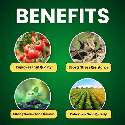Katyayani Npk 00 00 50 Fertilizer (Potassium sulphate Water Soluble Fertilizer) 