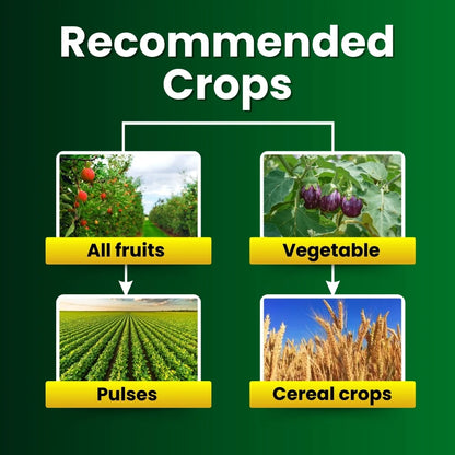 KATYAYANI TRIPLE ATTACK POWDER | VERTICILLIUM LECANII + BEAUVERIA BASSIANA + METARHIZIUM ANISOPLIAE | BIO PESTICIDE 