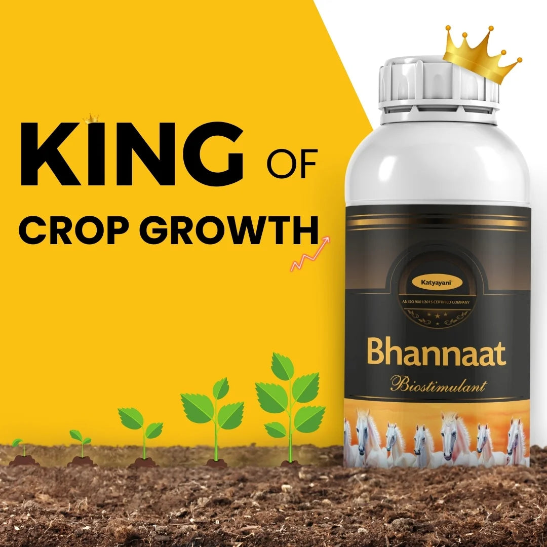 Katyayani Bhannaat | Biostimulant Plant Growth Regulator | Enhance Yield & Stress Resistance 