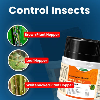 Katyayani BPH Super | Pymetrozine 50% WG | Chemical Insecticide 