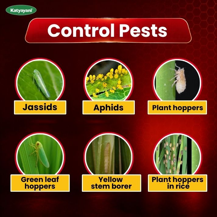 Katyayani Shikaar | Acephate 75% SP | Systemic Insecticide 