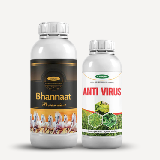 Katyayani Virus Missile Combo – Protect Against Viruses & Boost Growth 