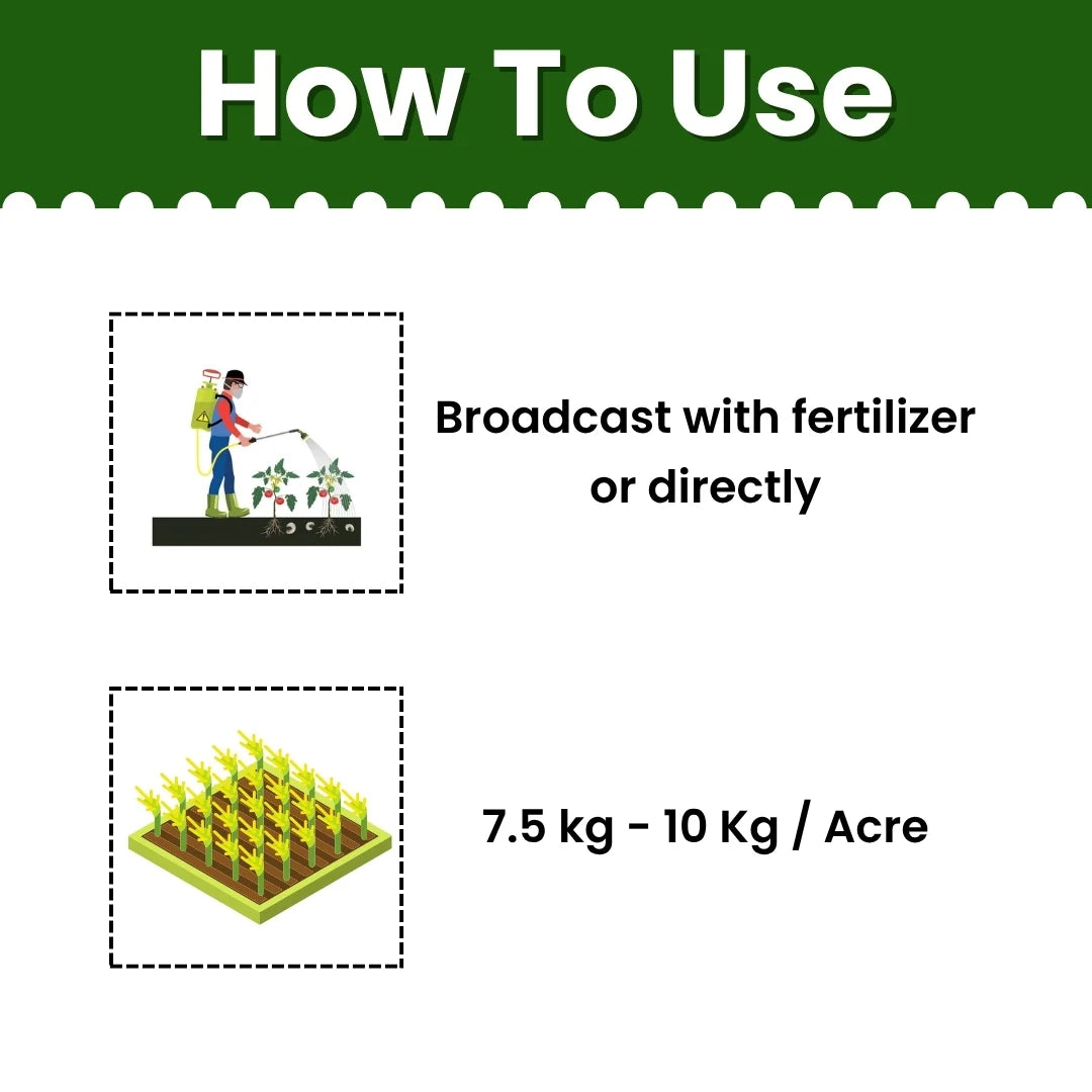 KATYAYANI KATAPPA | CARTAP HYDROCHLORIDE 4% GR | CHEMICAL INSECTICIDE 